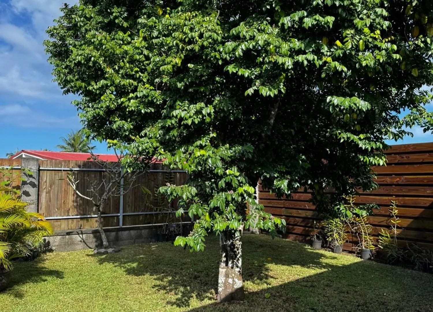 Le Refuge Tere-Rai - Chambre Tohautu